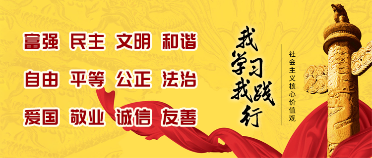 全力贯彻落实，品牌国强