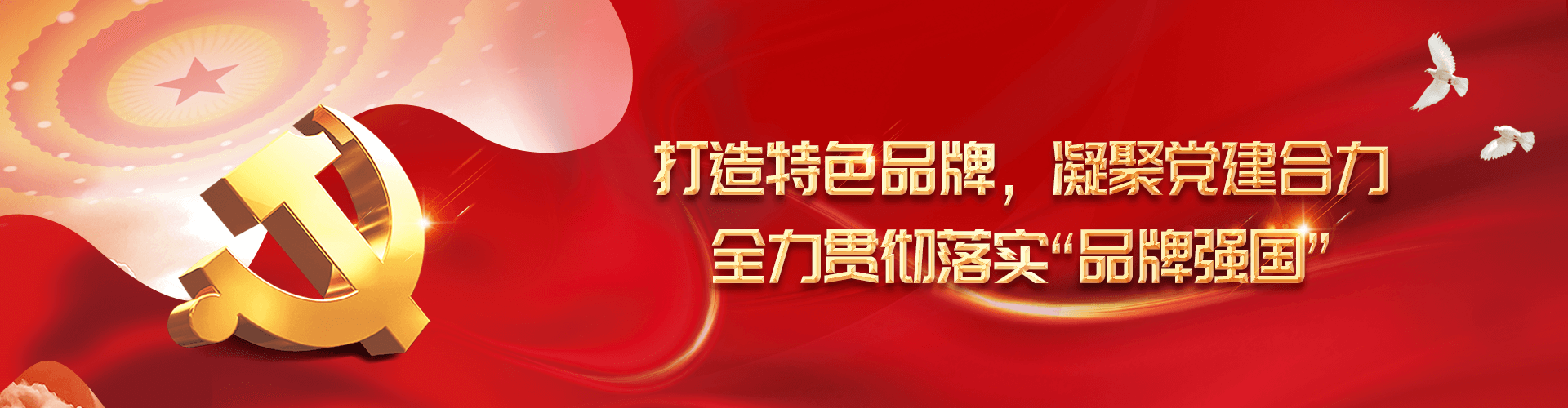 全力贯彻落实，品牌国强